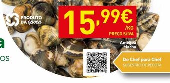Recheio Marisco promoção