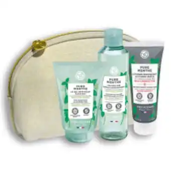 Yves Rocher Bolsa limpeza pure menthe promoção