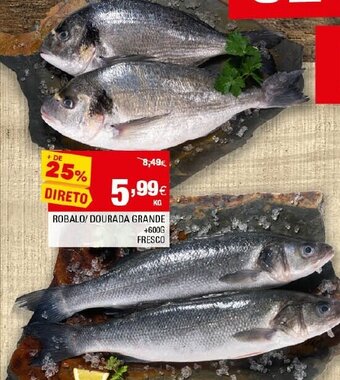 Continente Robalo / Dourada Grande +600g promoção