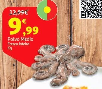 Polvo medio fresco inteiro kg