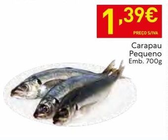 Recheio Peixe promoção