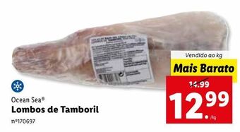 Lidl Peixe ocean sea promoção