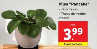 Lidl Plantas promoção