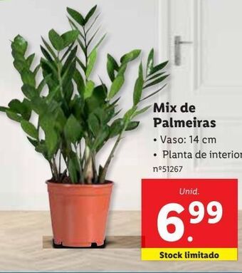 Lidl Plantas promoção
