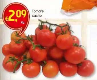 Bolama Tomate Cacho 1kg promoção