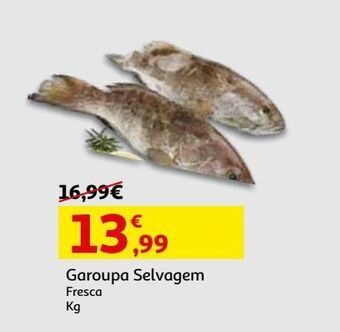 Auchan Garoupa selvagem fresca kg promoção