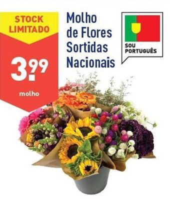 ALDI Flores promoção