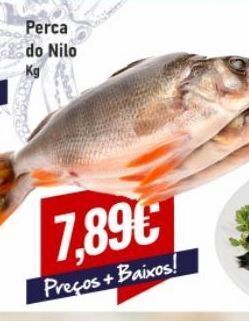Belita Peixe promoção
