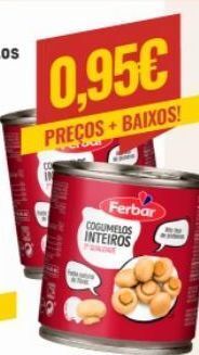 Cogumelos