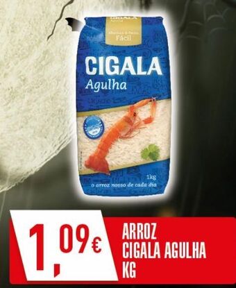 Arroz cigala