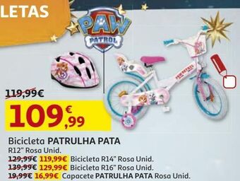Capacete toimsa patrulha pata
