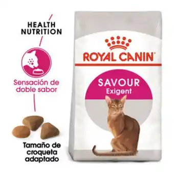 TiendAnimal Royal canin adult exigent savour ração para gatos promoção
