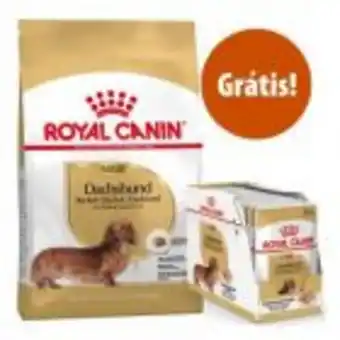 Zooplus Royal canin breed 7,5 kg a 12 kg ração para cães + comida húmida grátis! promoção