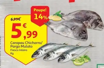 Auchan Carapau chicharro fresco promoção