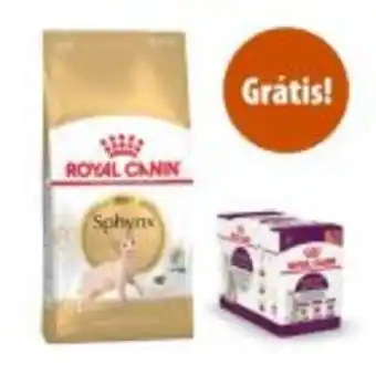 Zooplus Royal canin breed adult 10 kg ração + 12 x 85 g comida húmida grátis! promoção