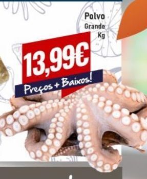 Polvo