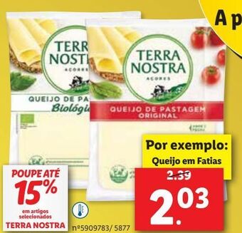 Queijos terra nostra