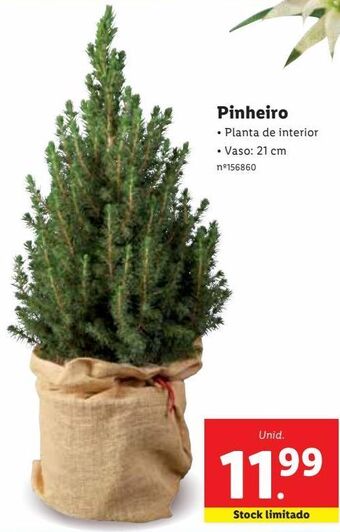 Lidl Plantas promoção