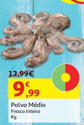 Polvo medio