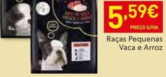Recheio Ração para cães promoção