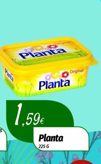 Margarina planta
