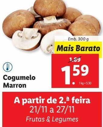 Lidl Cogumelo marrom promoção