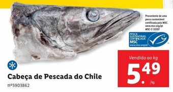 Lidl Cabeça de pescada do chile promoção