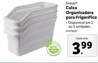 Caixa organizadora ernesto