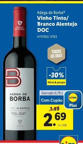 Vinhos adega de borba
