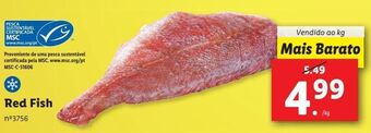 Lidl Peixe congelado promoção