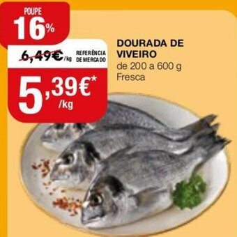 Dourada de Viveiro de 200 a 600g Fresca