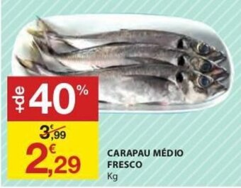 E.Leclerc Carapau Médio Fresco promoção