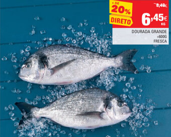 Dourada Grande +600g Fresca
