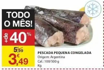 Pescada Pequena Congelada