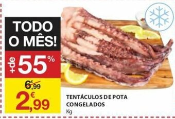 E.Leclerc Tentáculos de Pota Congelados promoção