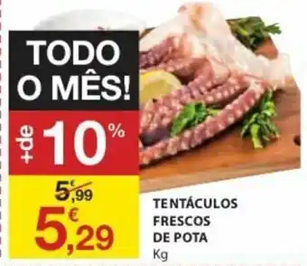 E.Leclerc Tentáculos Frescos de Pota promoção