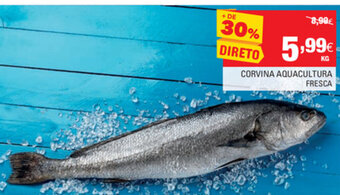 Continente Corvina Aquacultura Fresca promoção