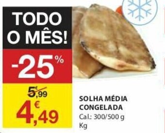 E.Leclerc Solha Média Congelada 300/500g promoção