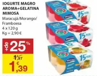 E.Leclerc Iogurte Magro Aroma+Gelatina 4x120g promoção