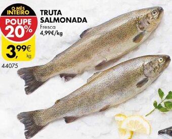 Truta Salmonada