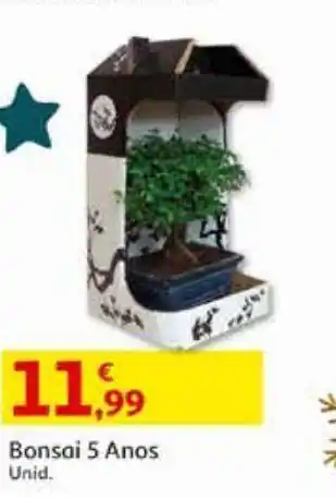 Auchan Bonsai 5 anos  promoção