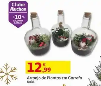 Auchan Arranjo plantas em garrafa decoração natal promoção