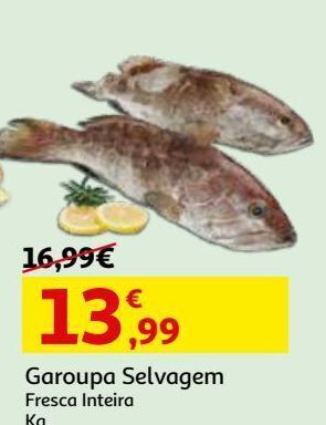 Auchan Garoupa selvagem fresca kg promoção