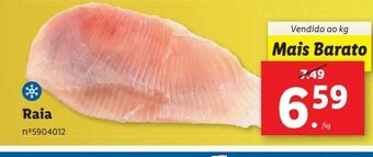 Lidl Peixe congelado promoção