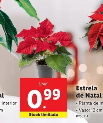 Lidl Plantas promoção