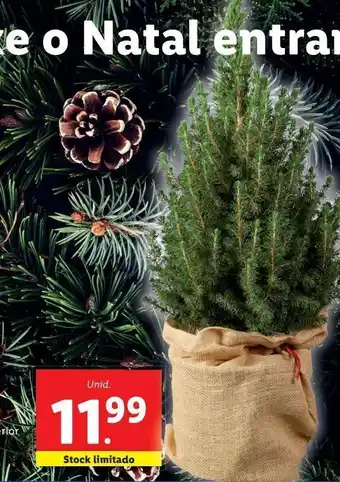 Lidl Plantas artificiais promoção