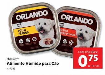 Lidl Comida de cachorro orlando promoção