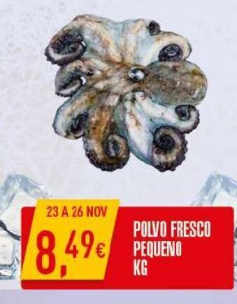 Polvo