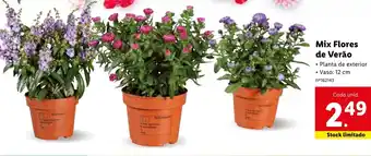Lidl Mix Flores de Verão 12cm promoção