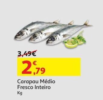 Carapau medio fresco inteiro kg